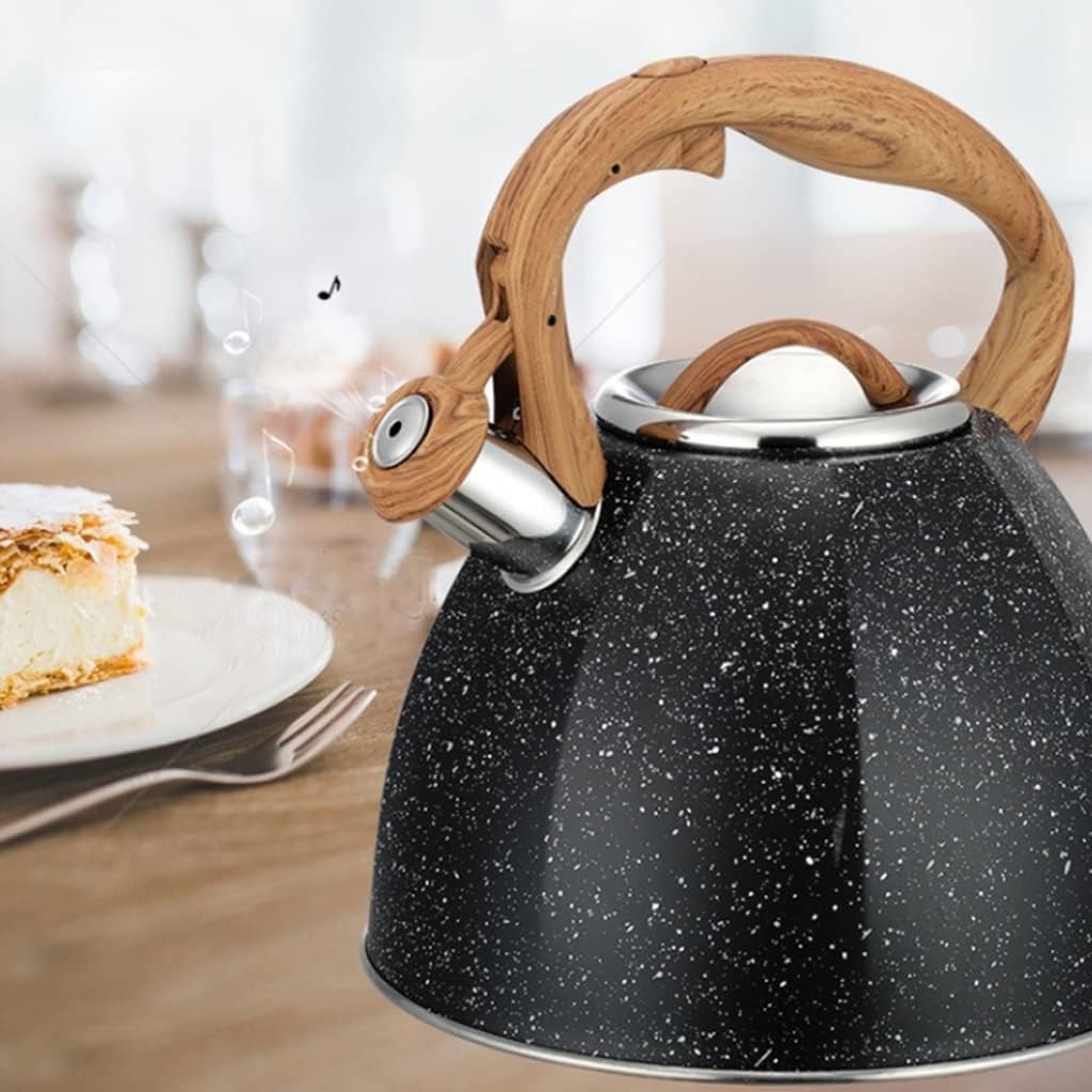 Bouilloire à Sifflet Tesly En Acier Inoxydable