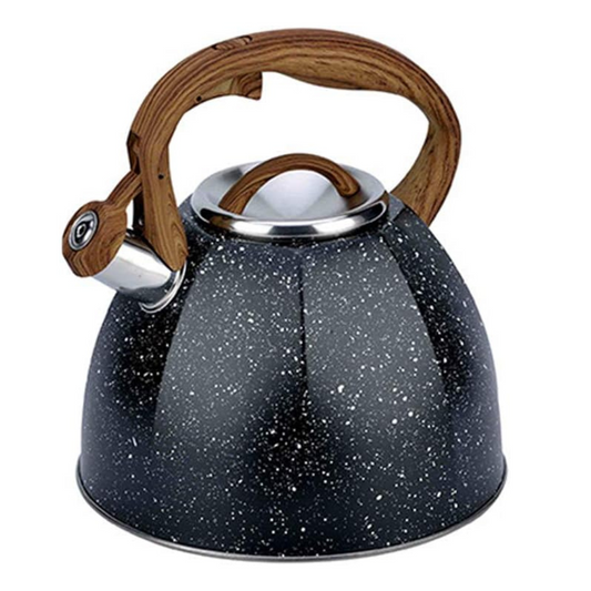 Bouilloire à Sifflet Tesly En Acier Inoxydable